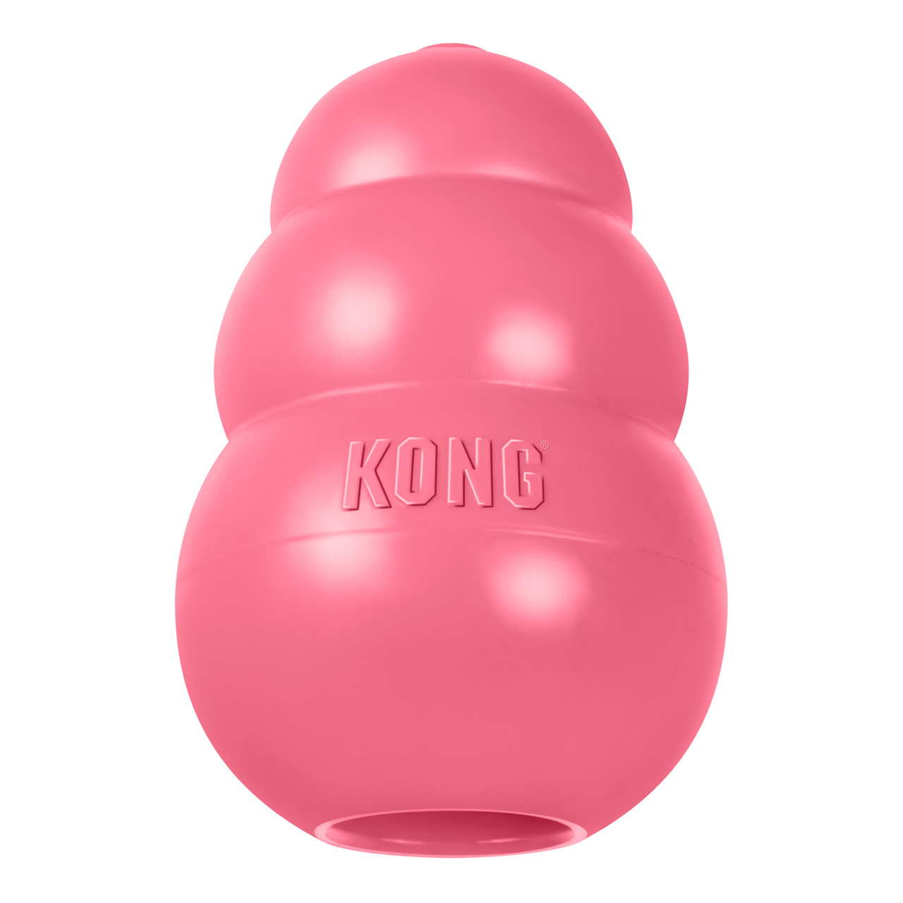 Kong Puppy Dog Toy Small