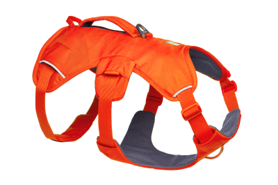 Ruffwear WebMaster Dog Harness