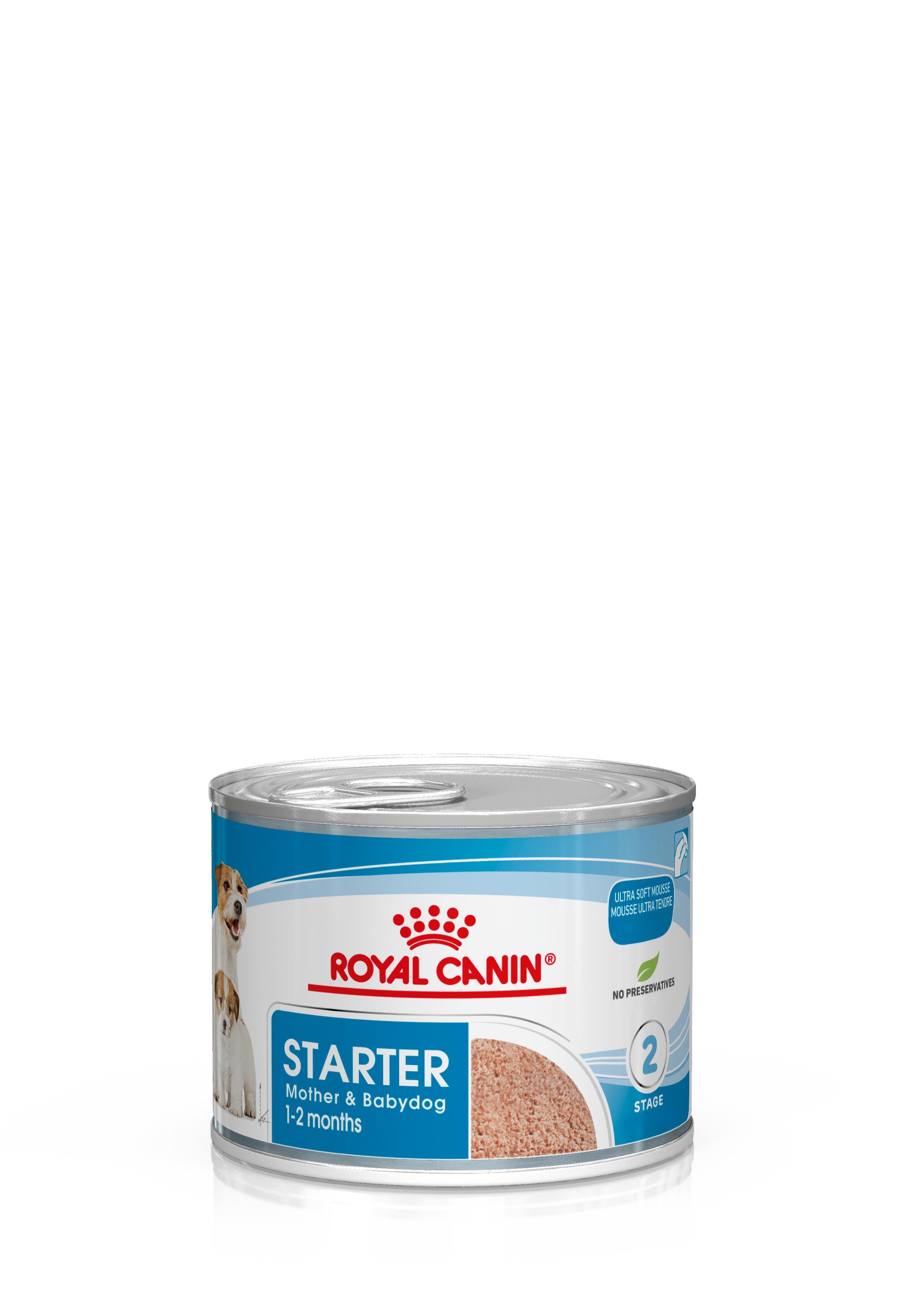 Royal Canin Starter Mother & Babydog Mousse Wet Dog Food 195g