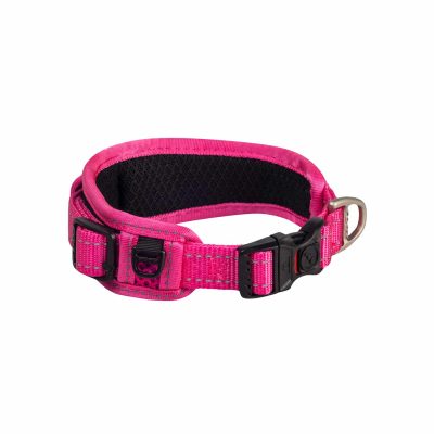 Rogz Classic Padded Dog Collar