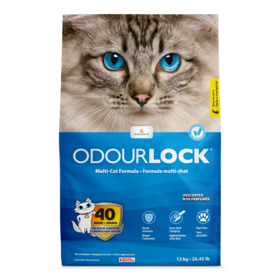Intersand OdourLock Unscented Ultra-Clumping Cat Litter 6kg