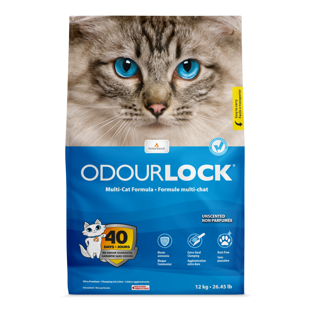 Intersand OdourLock Unscented Ultra-Clumping Cat Litter 6kg