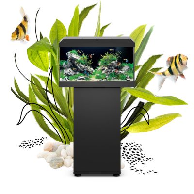 Juwel Primo 60 LED Aquarium 57L