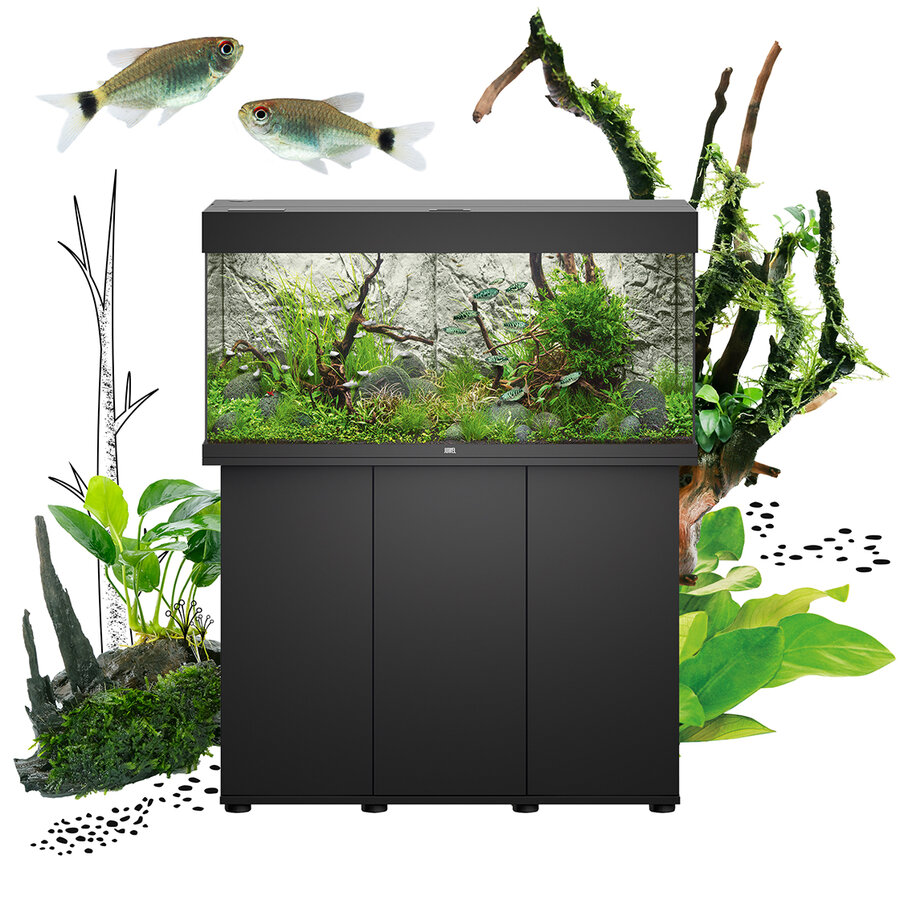 Juwel Rio 180 LED Aquarium
