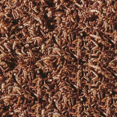 Sera FD Bloodworms Nature 50ml