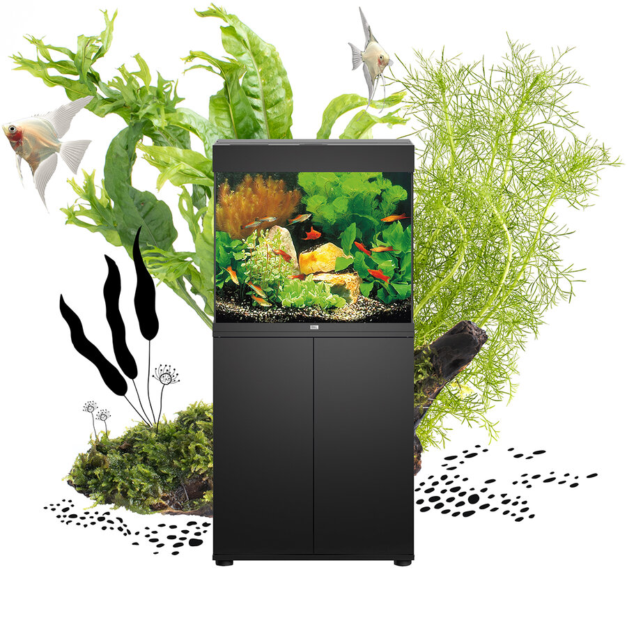 Juwel Lido 200 LED Aquarium